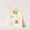 Studieblad med blomster og planter by Johan Thomas Lundbye
