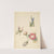 Studieblad met drie rozen en een iris (1824 - 1900) by Albertus Steenbergen