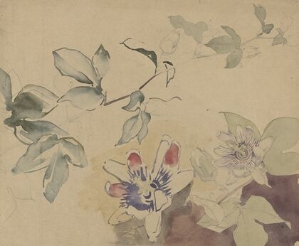Studieblad met passiebloemen
