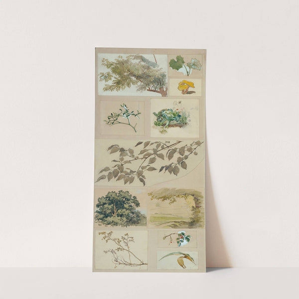 Studien nach der Natur by Josef Wawra