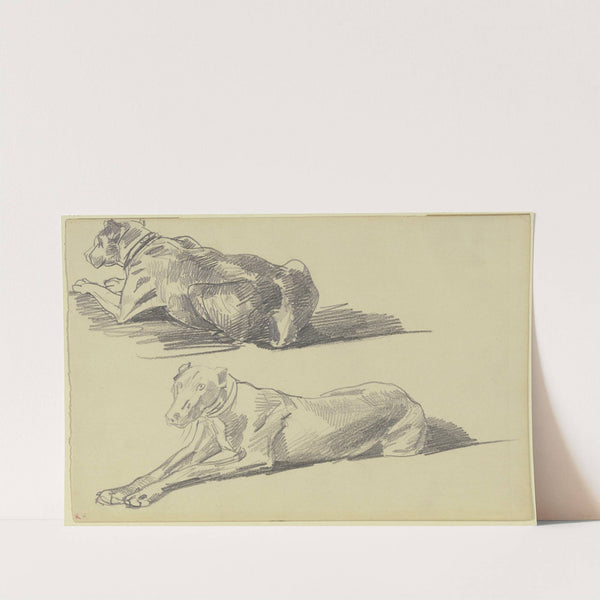 Studienblatt; Die Dogge Cäsar, liegend nach links by Wilhelm Trübner