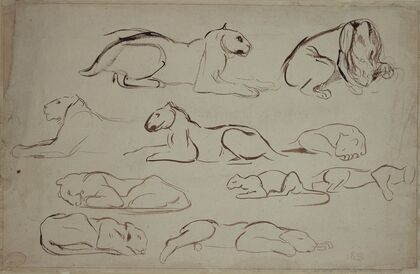Studienblatt mit Löwen und Tigern (ca. 1826 – 1828)