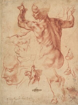 Studies for the Libyan Sibyl