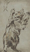 Studies of a Bear