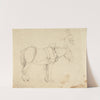 Studies of a Carthorse by Cornelius Varley