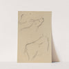 Studies of a Cow (verso) by Paul Gauguin