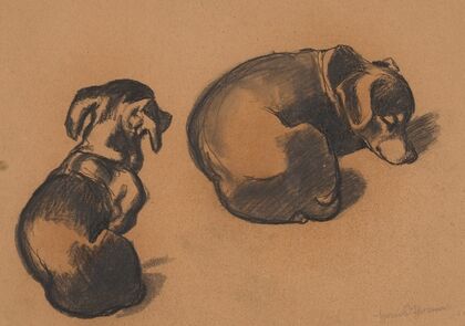 Studies of a dachshund (1885)