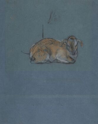 Studies of a Kid or Fawn — size preview