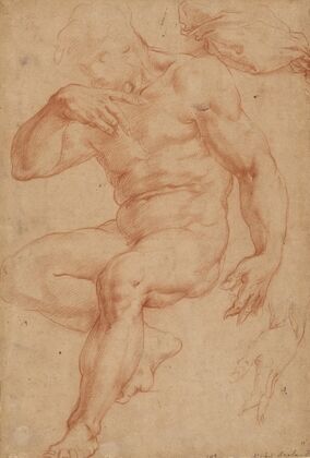 Studies of a Male Nude, a Drapery, and a Hand