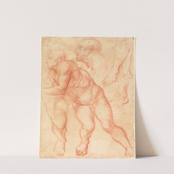 Studies of a Male Nude by Giovanni Battista Naldini