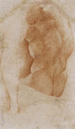 Studies of a Nude Male Torso Seen from the Rear, and a leg