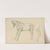 Studies of a Pony by William Strutt