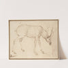 Studies of a Stag by Stefano da Verona