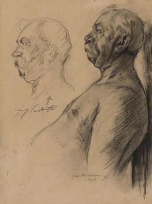 Studies of an Old Man