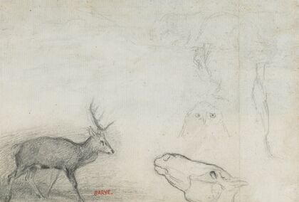 Studies of Animals (verso)