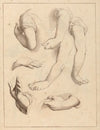 Studies of Arms and Hands