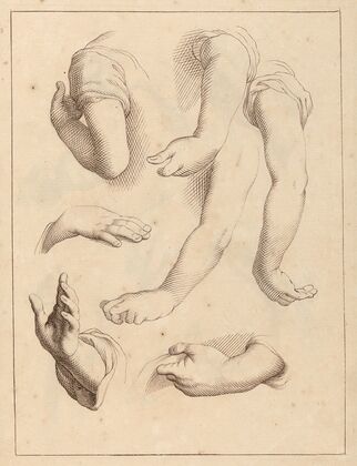 Studies of Arms and Hands