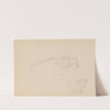 Studies of bears (between 1845 and 1852) by Adolph Tidemand