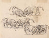 Studies of Bull Fighting