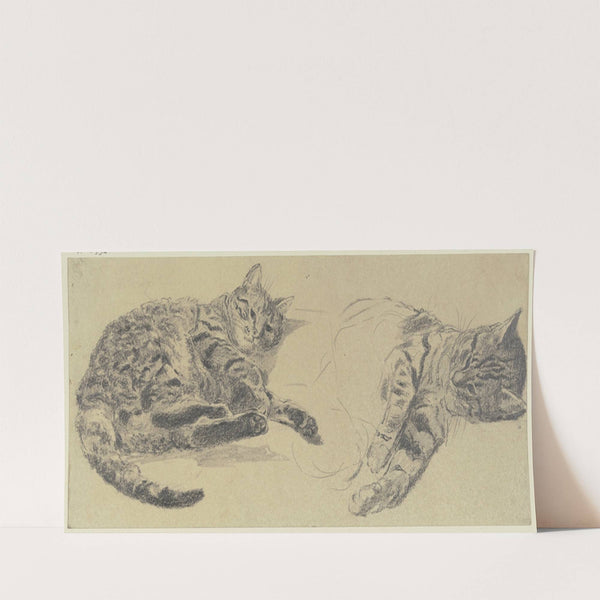 Studies of cats (1856) by Wilhelm Gentz