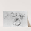Studies of Cows and Calves by James McDougal Hart