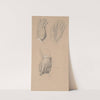 Studies of David&#039;s and Jacob&#039;s hands for the painting &#039;The Immaculate Conception of the Blessed Virgin Mary&#039; by Józef Simmler