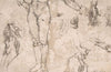 Studies of Female Nude, Hands, and Male Torso