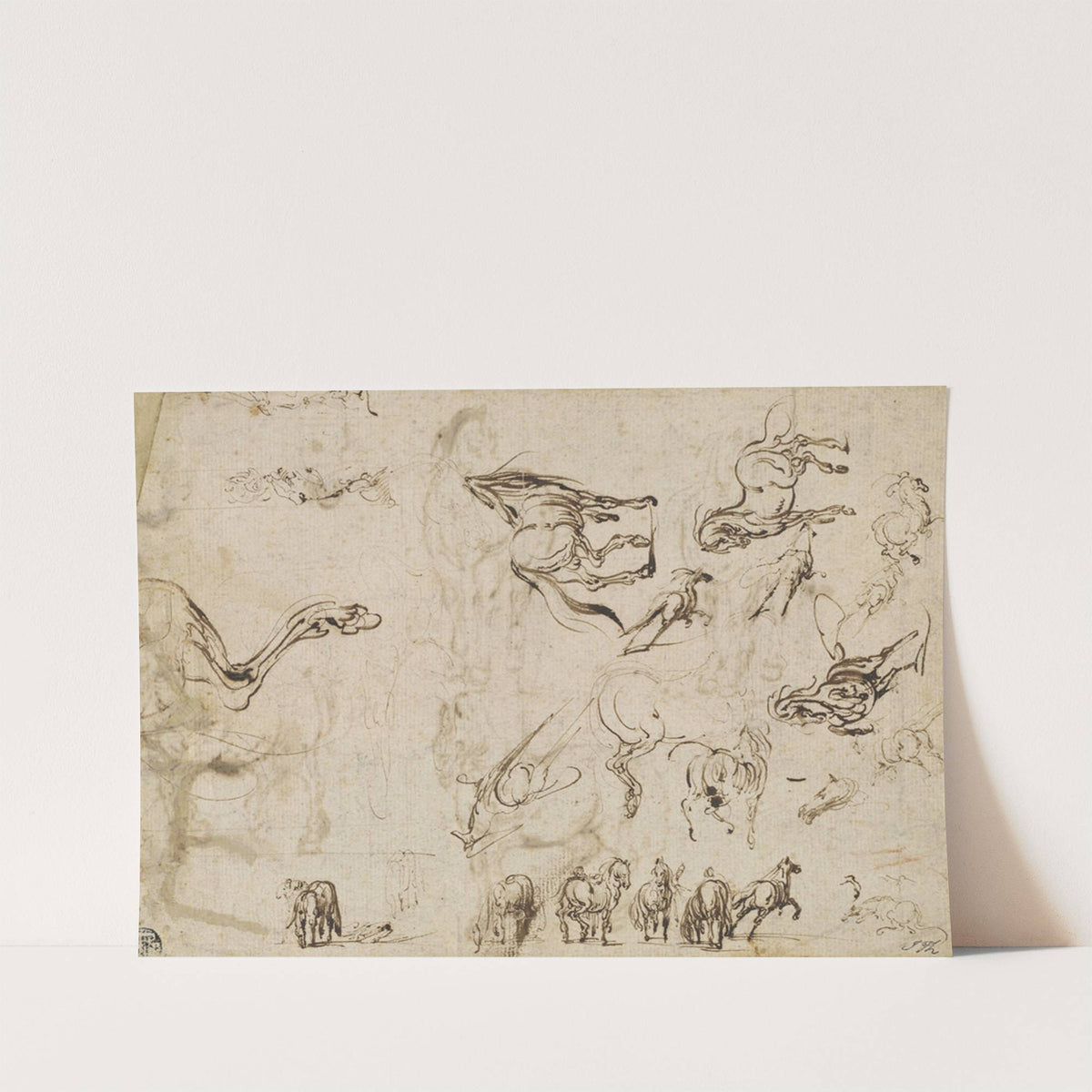 Studies of Horses (verso) (c. 1612) by Jacques Callot