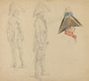 Studies of Major von Washington