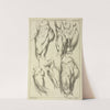 Studies of male loins by Peter Paul Rubens