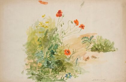 Studies of meadows (1881)