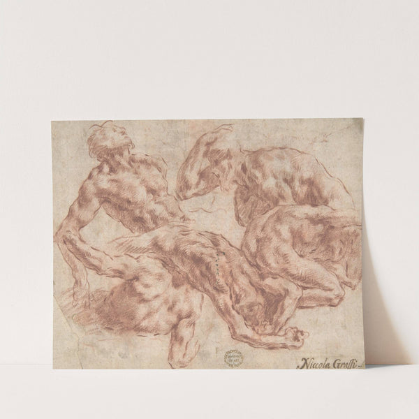 Studies of Nude Men (1682–1750) by Nicola Grassi