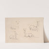 Studies of Pallah Deer Resting by Samuel Daniell