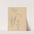 Studies of Plants by Johann Wilhelm Preyer