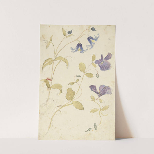 Studies of Purple and Blue Flowers by Elias van Nijmegen