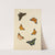 Studies Of Six Butterflies (18th Century) by Nicolaas Struyk