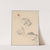 Studies of sleeve and robe fragment by Józef Simmler