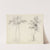 Studies of Upas and Maple Trees by Mary Altha Nims