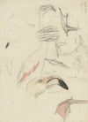 Studies van een flamingo