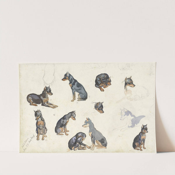 Studies van een hond by Anna Maria Kruijff