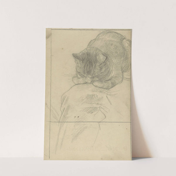 Studies van een kat (1874 - 1925) by Jan Veth