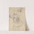 Studies van kamelen by Theo Nieuwenhuis