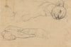 Studies van leeuwen