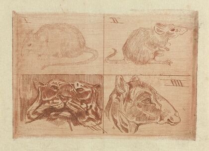 Studies van twee muizen, een tijgerkop en een kop van een kameel — size preview