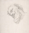 Study for a Head of a Man