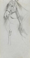Study for a Horse (1860s)