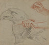 Study for an eagle’s head, three studies for a hand with a quill_and one study for a hand holding a book