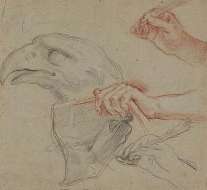 Study for an eagle’s head, three studies for a hand with a quill_and one study for a hand holding a book