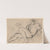Study for Bacchus or Silenus by Domenico Maria Canuti