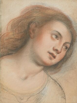 Study for Female Head